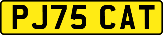 PJ75CAT