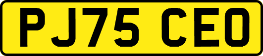PJ75CEO