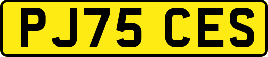 PJ75CES