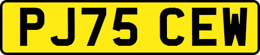 PJ75CEW