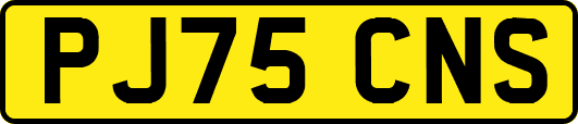 PJ75CNS