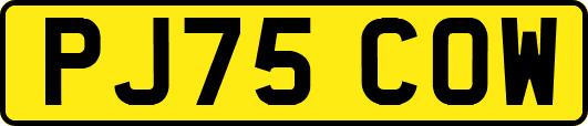 PJ75COW