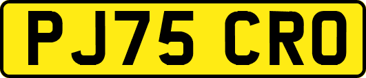 PJ75CRO