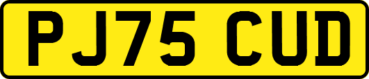 PJ75CUD