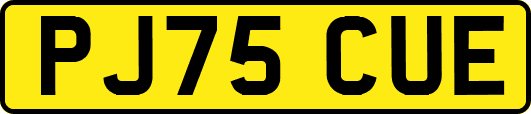 PJ75CUE