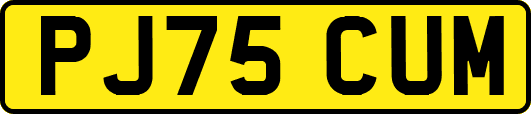 PJ75CUM