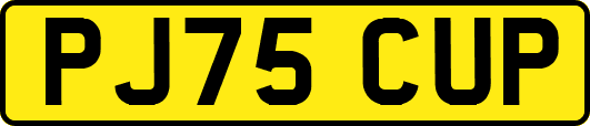 PJ75CUP