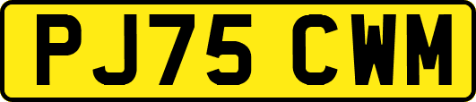 PJ75CWM