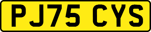 PJ75CYS