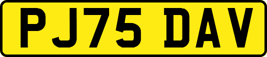 PJ75DAV