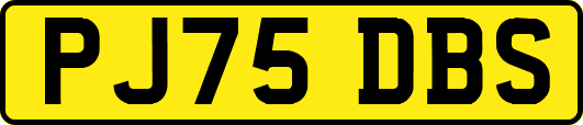 PJ75DBS
