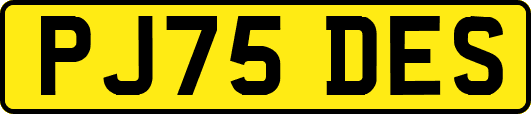 PJ75DES