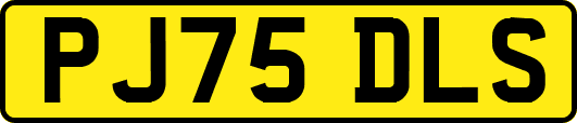 PJ75DLS