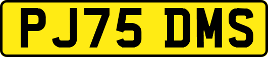 PJ75DMS