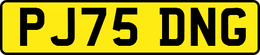 PJ75DNG