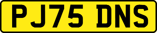 PJ75DNS