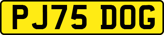 PJ75DOG