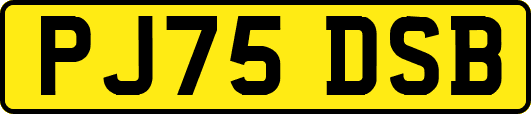 PJ75DSB