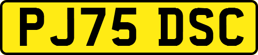 PJ75DSC