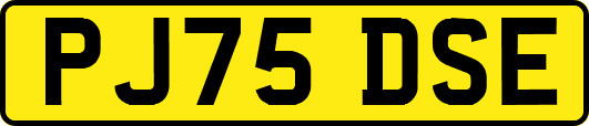 PJ75DSE