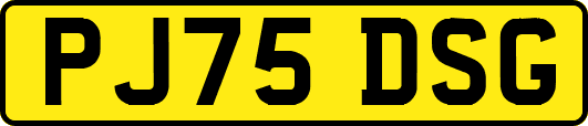 PJ75DSG
