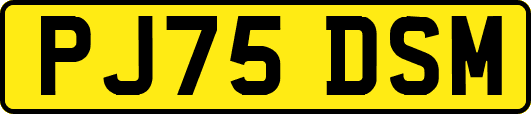 PJ75DSM