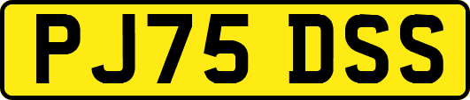 PJ75DSS