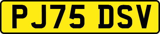 PJ75DSV