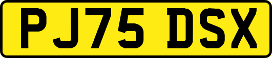 PJ75DSX