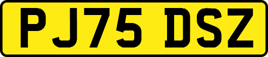 PJ75DSZ