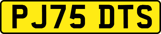 PJ75DTS