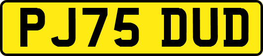 PJ75DUD