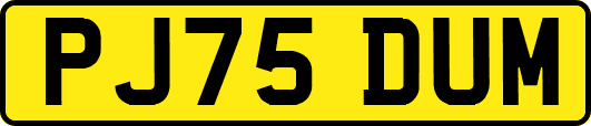 PJ75DUM