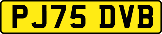 PJ75DVB