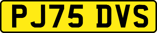 PJ75DVS