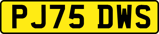 PJ75DWS