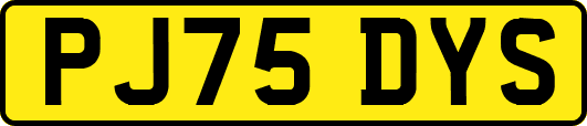PJ75DYS