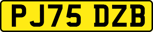 PJ75DZB