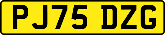 PJ75DZG