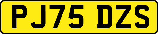 PJ75DZS