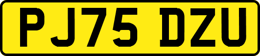 PJ75DZU