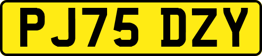 PJ75DZY