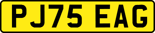 PJ75EAG
