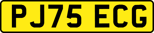 PJ75ECG
