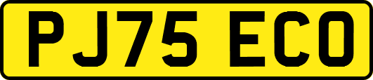 PJ75ECO