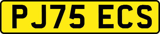 PJ75ECS