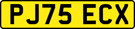 PJ75ECX