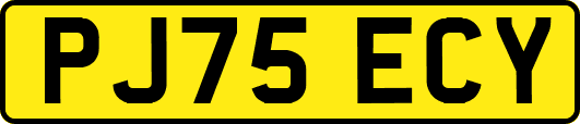 PJ75ECY