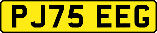 PJ75EEG