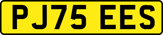 PJ75EES